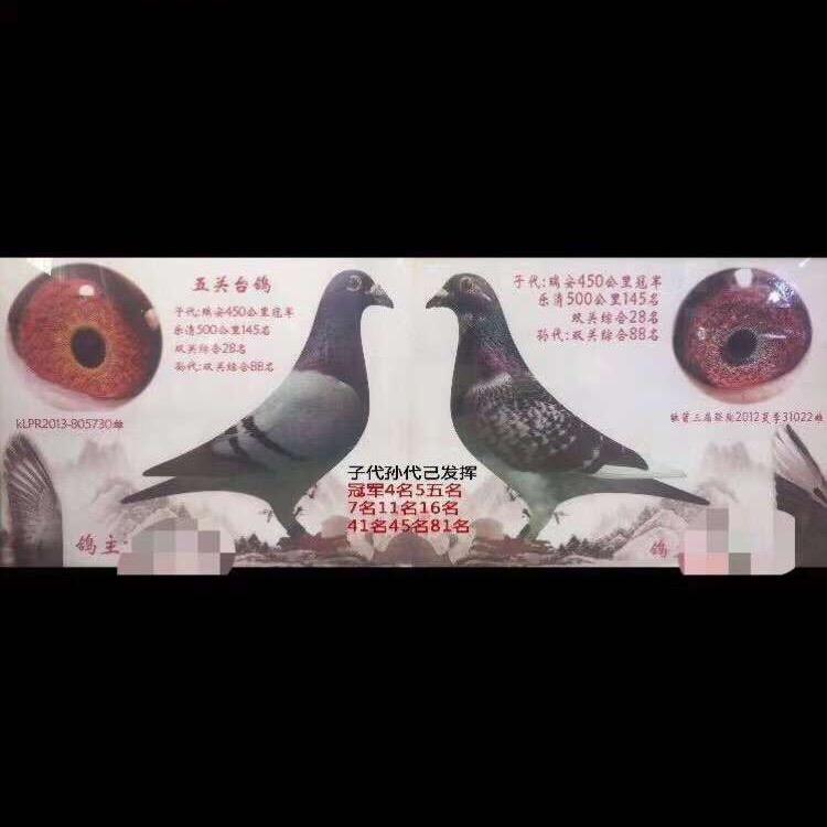 💋勇祥集团-蔡黑弟