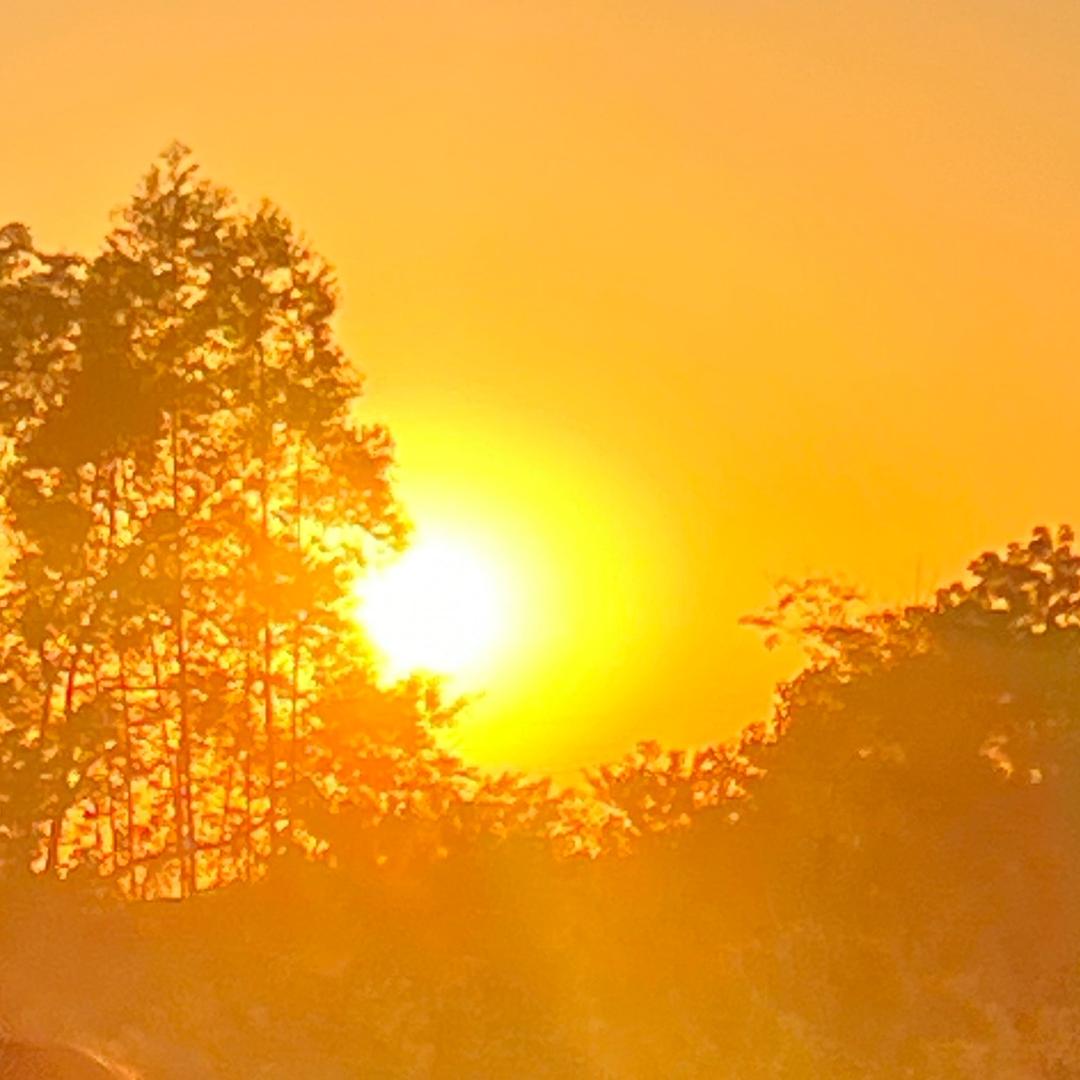 一个可爱的妮姑