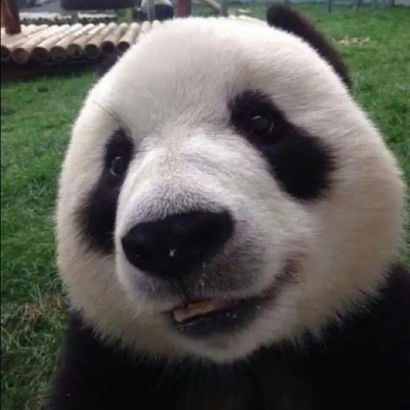 你是八戒 ，我是妖