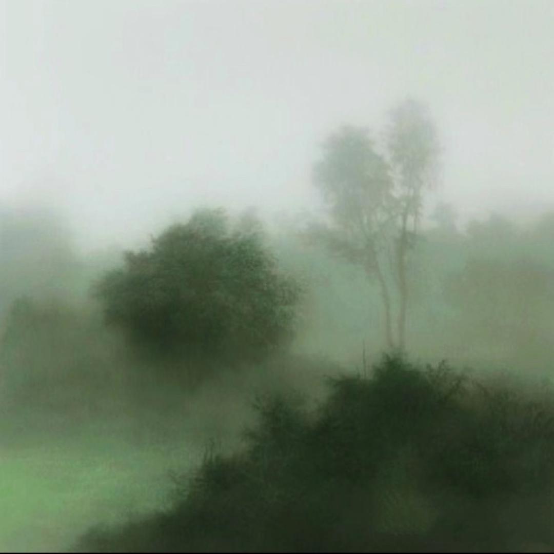 树-