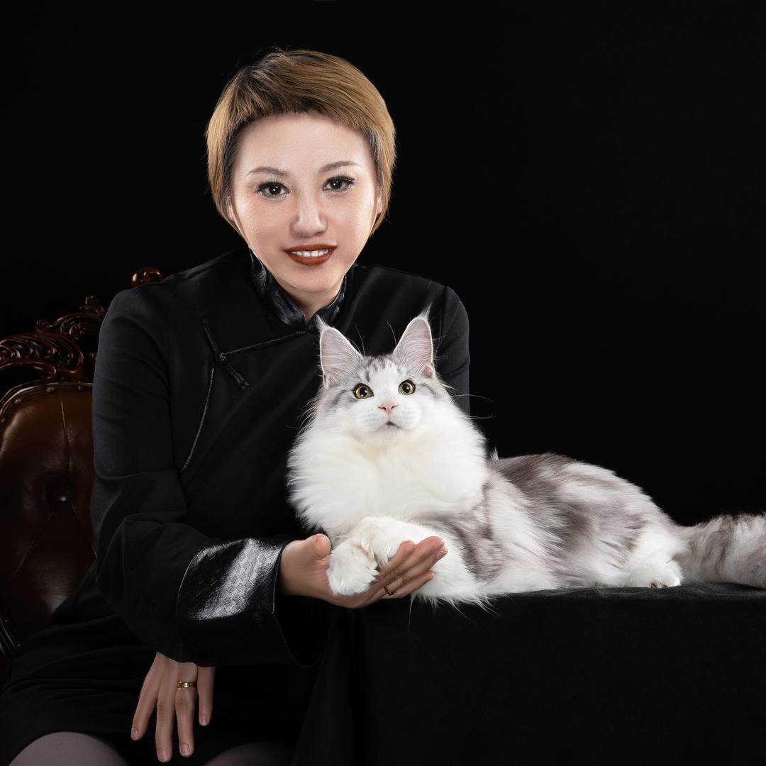 晴天缅因猫舍