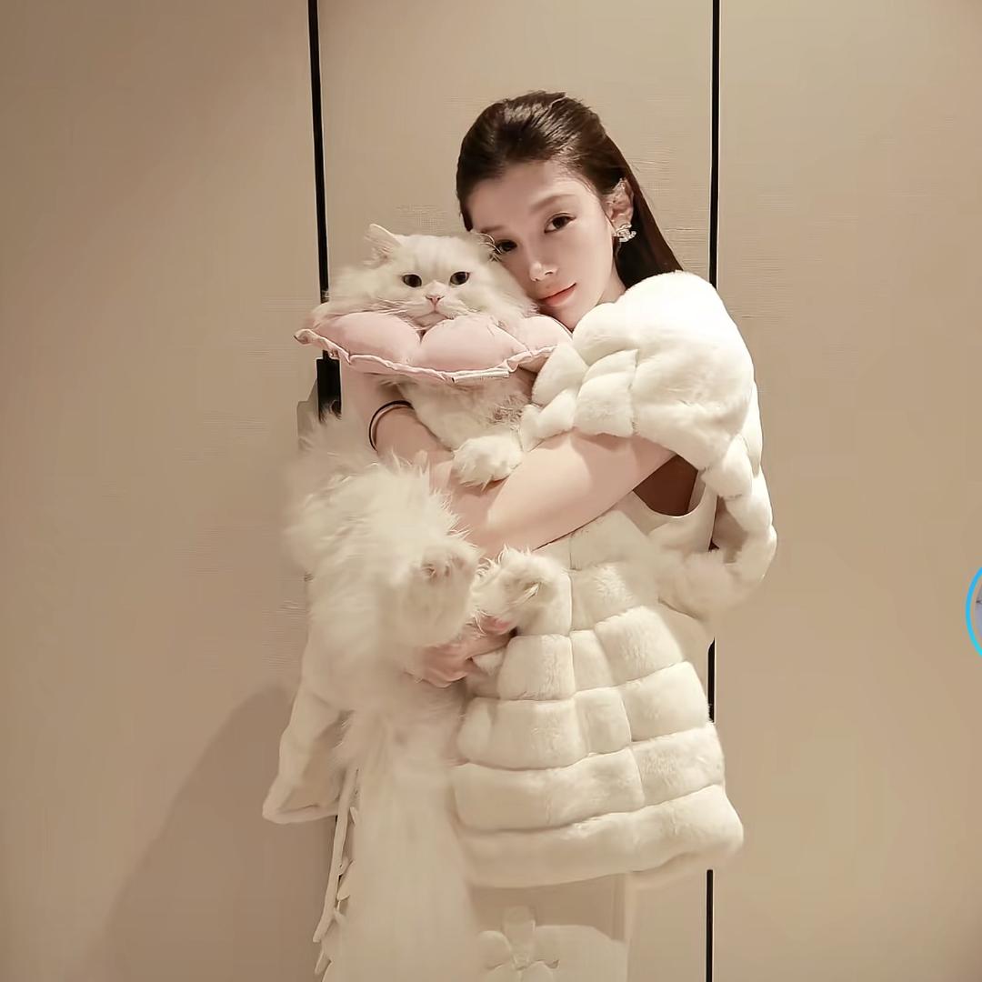 兔兔不吃香菜🐰