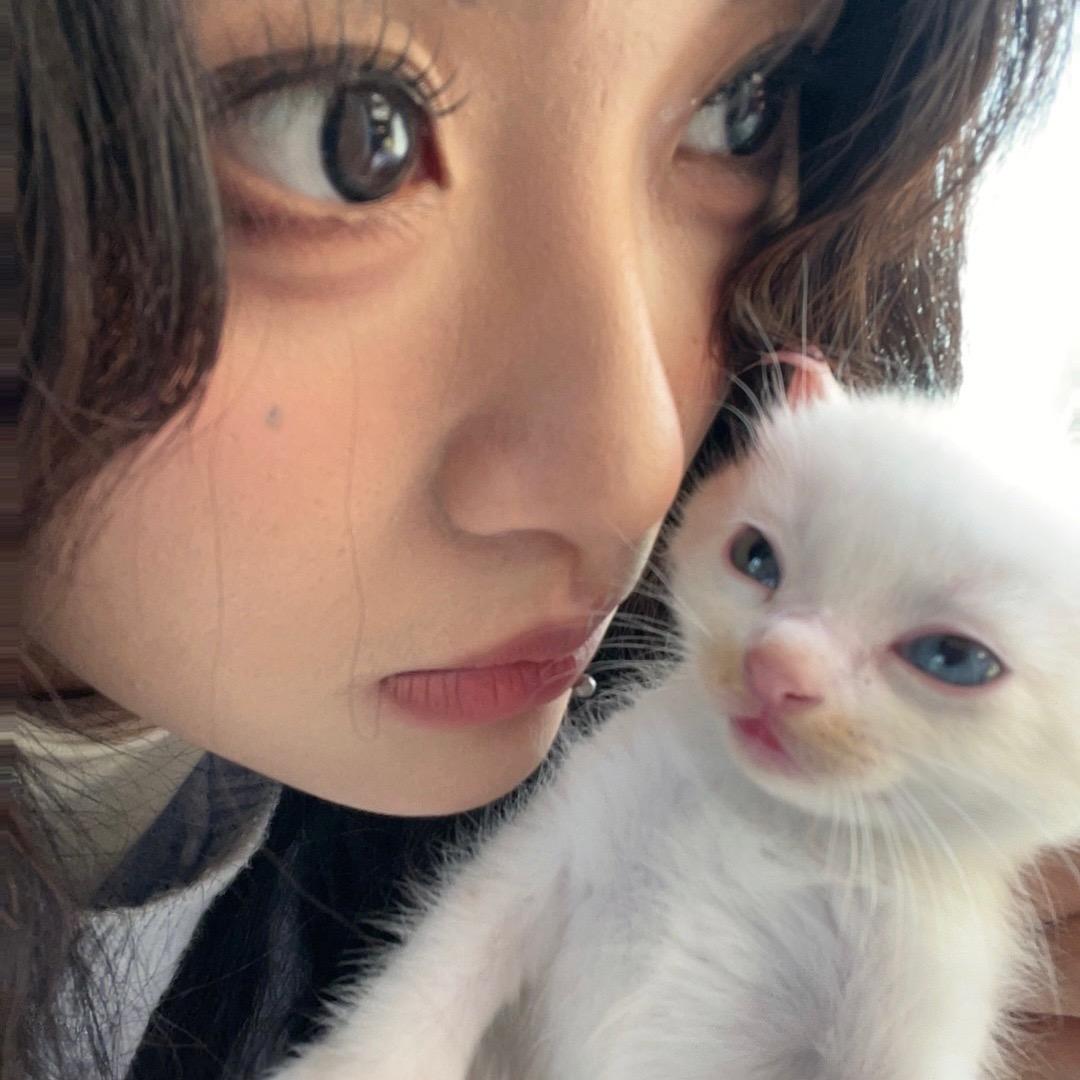 发狂椰猪
