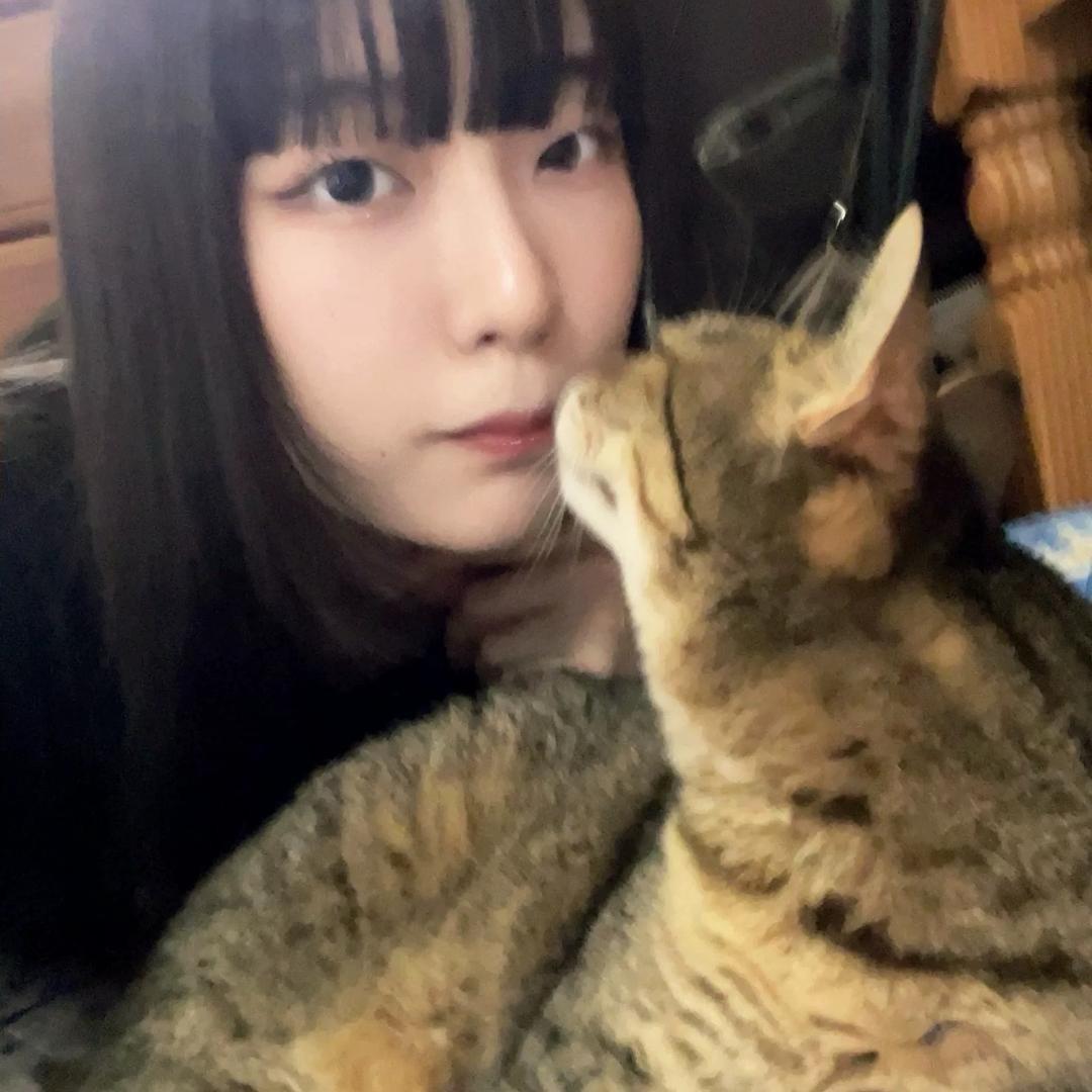 aimermilet