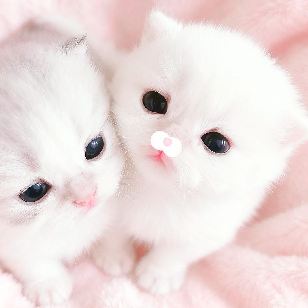 明天你还在不在