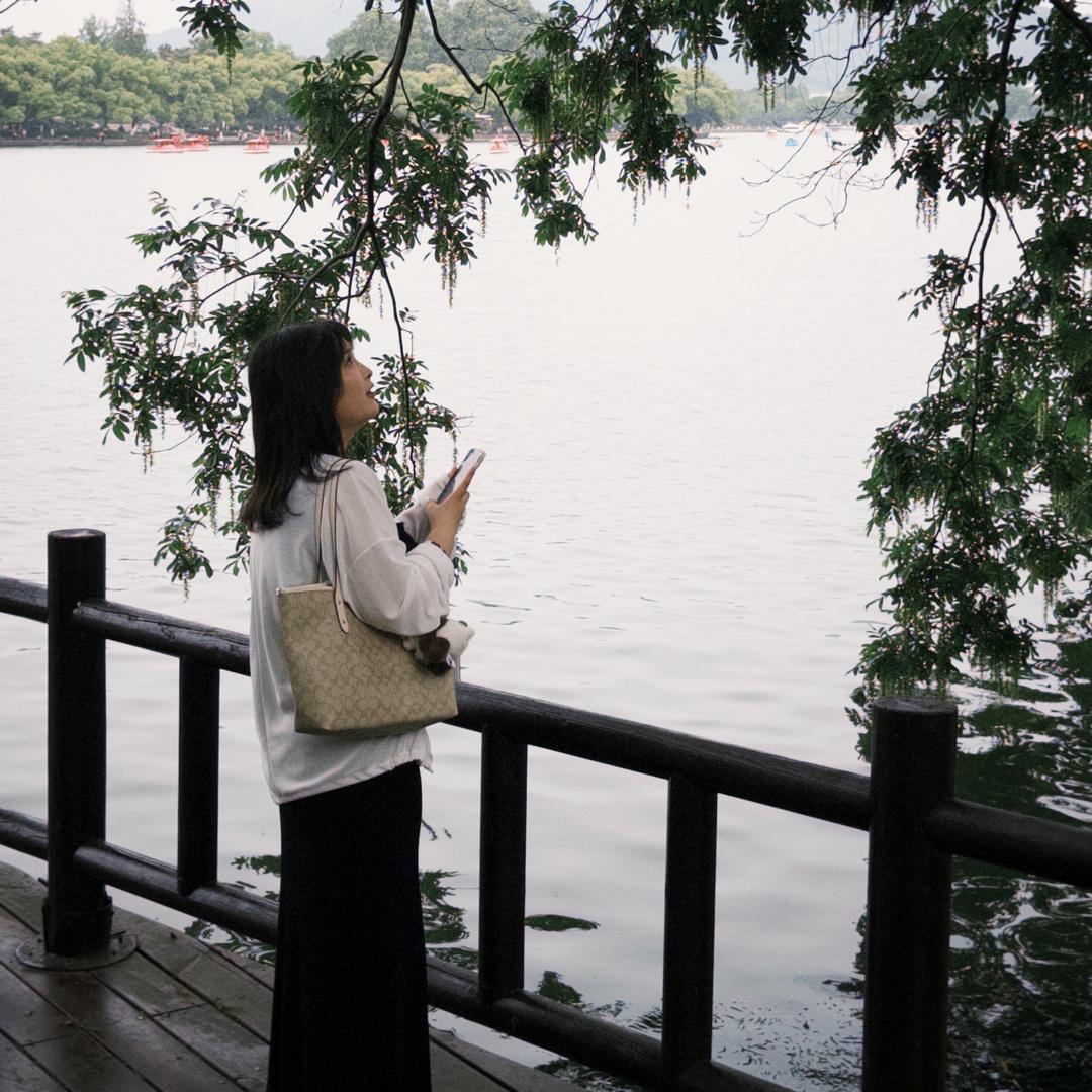 蒜香李子