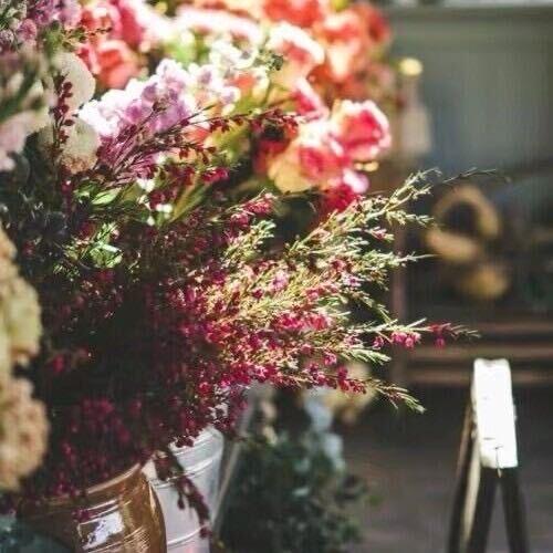 花花এ᭄ღ公子