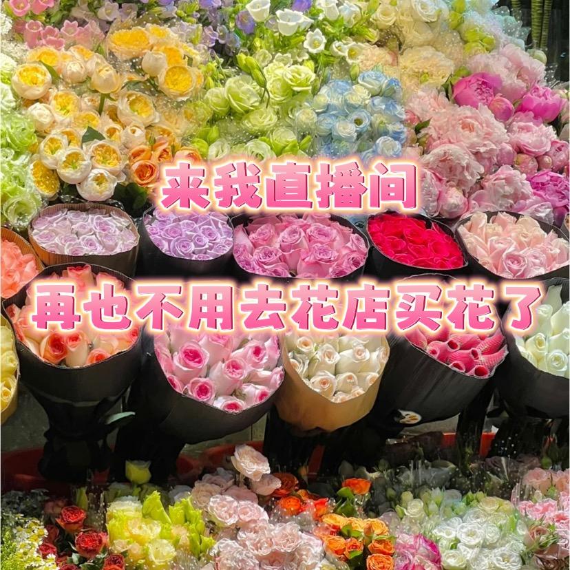 鲜花基地云南直发（楚楚）