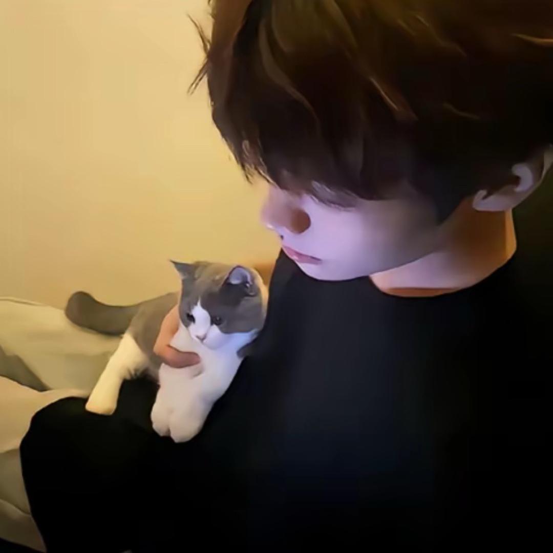 alㅤ