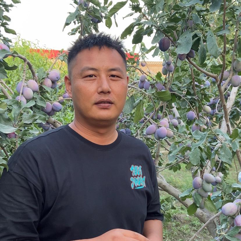 疆南源干果