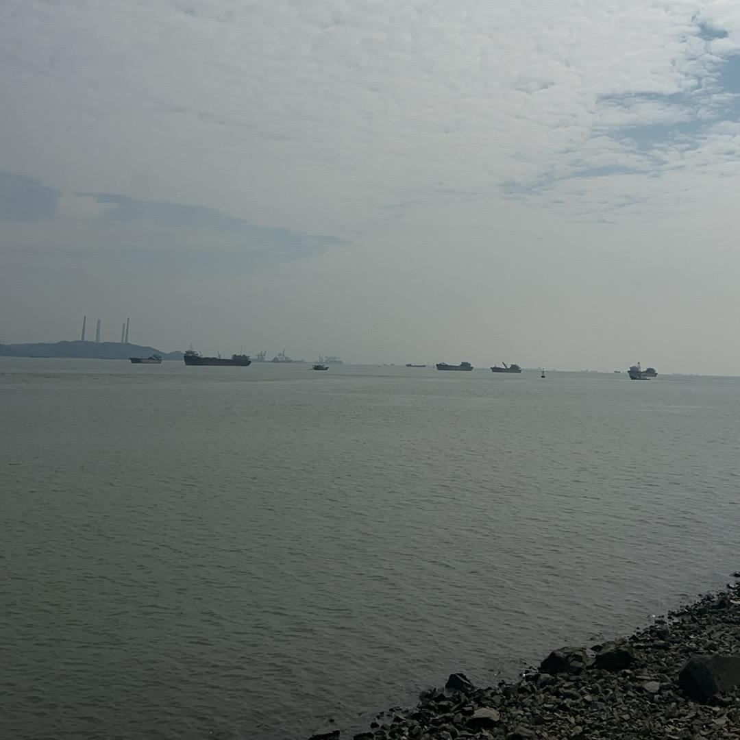 半生颠沛半风雨