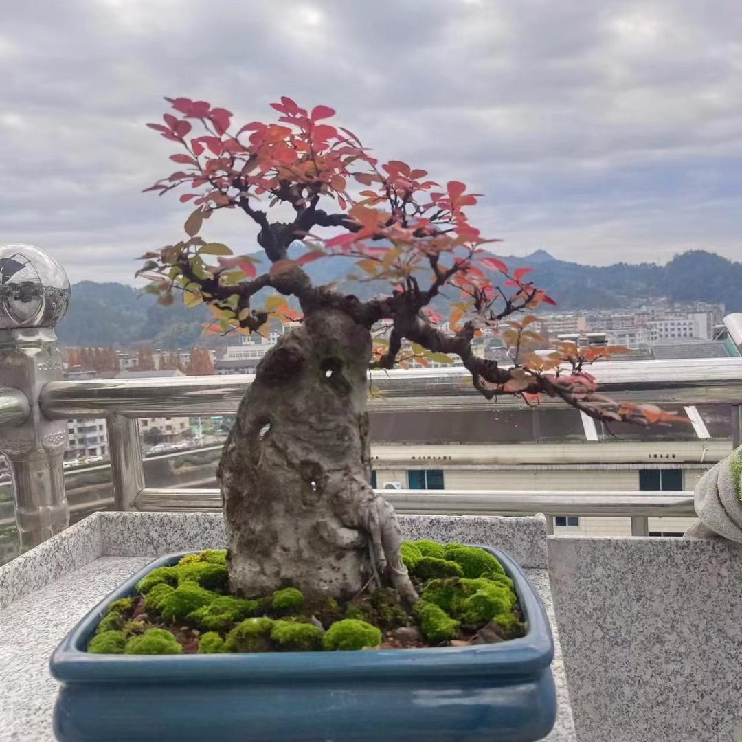 山里人家农产品