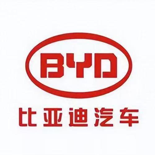 比亚迪飙总