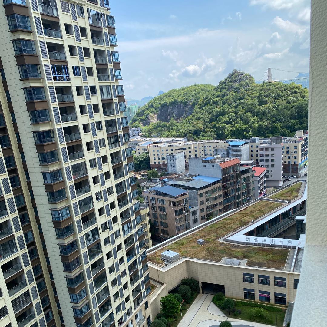 老年三力驾考