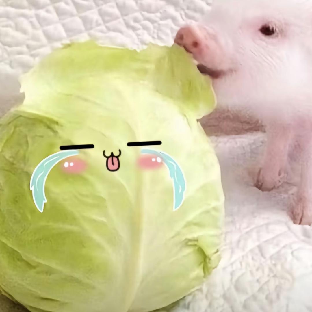眼泪拌饭好咸