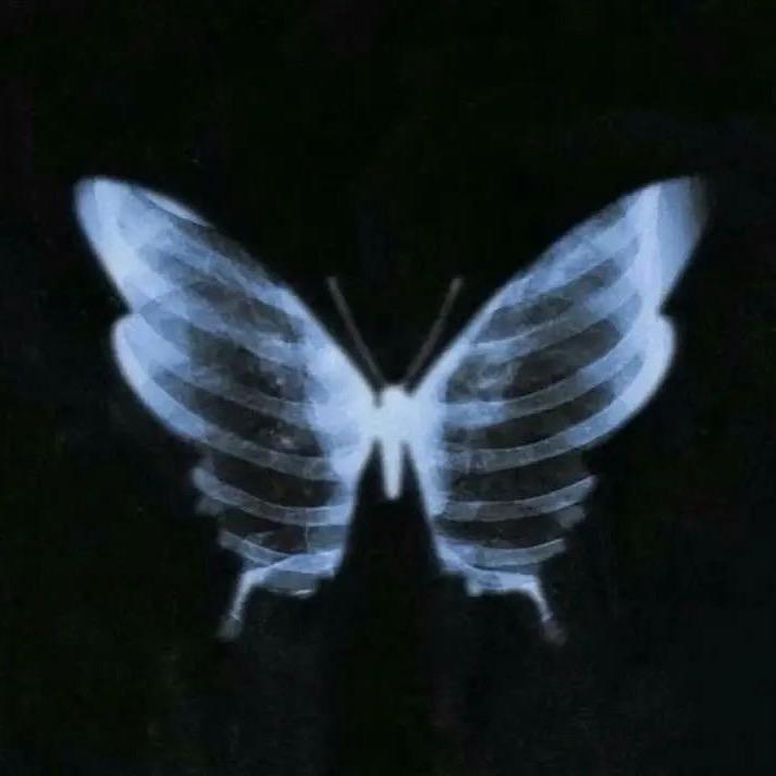 无能丈夫被美艳妻子和霸道女上司NTR那晚