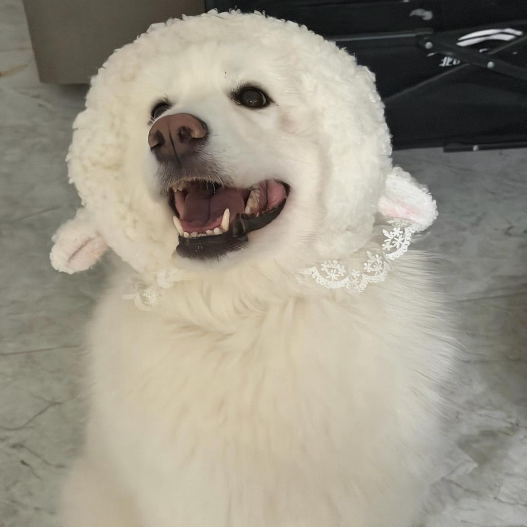 耳机在听什么歌🎧