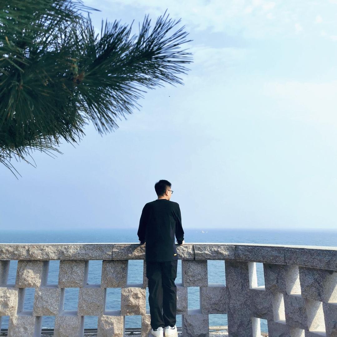 老杜家的忍者神龟