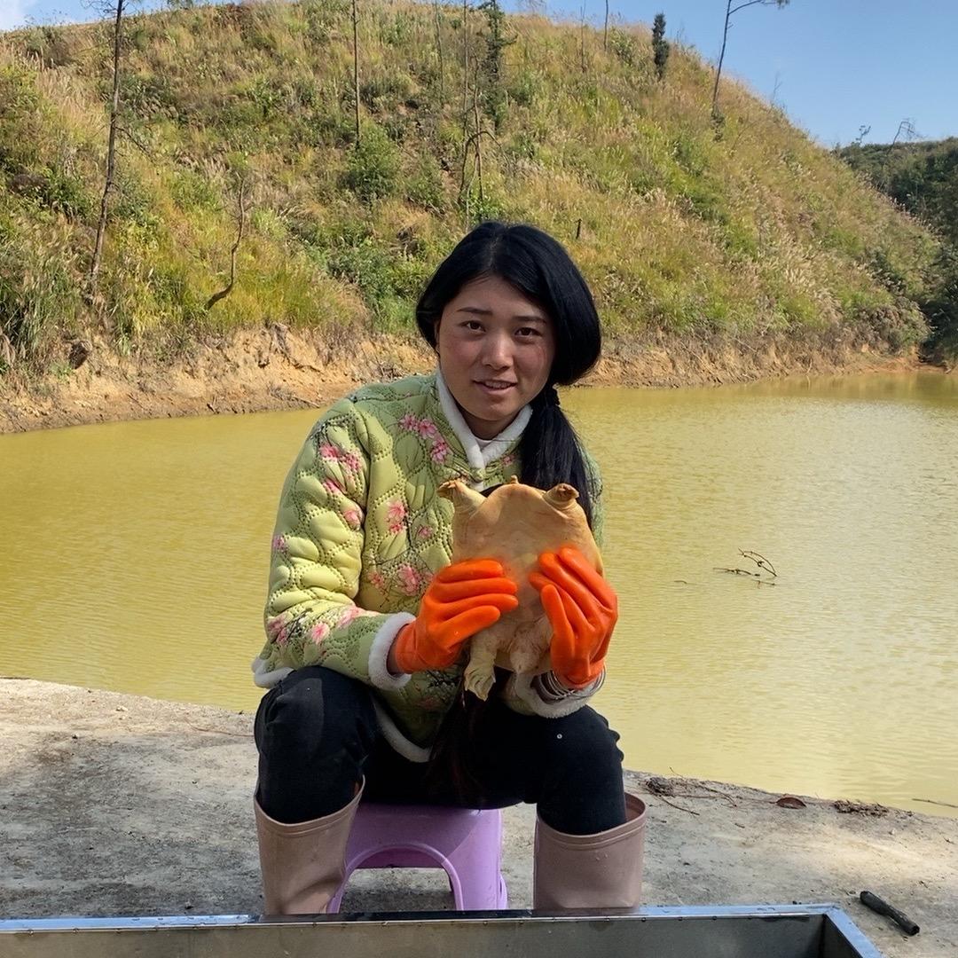 乡村曼丽
