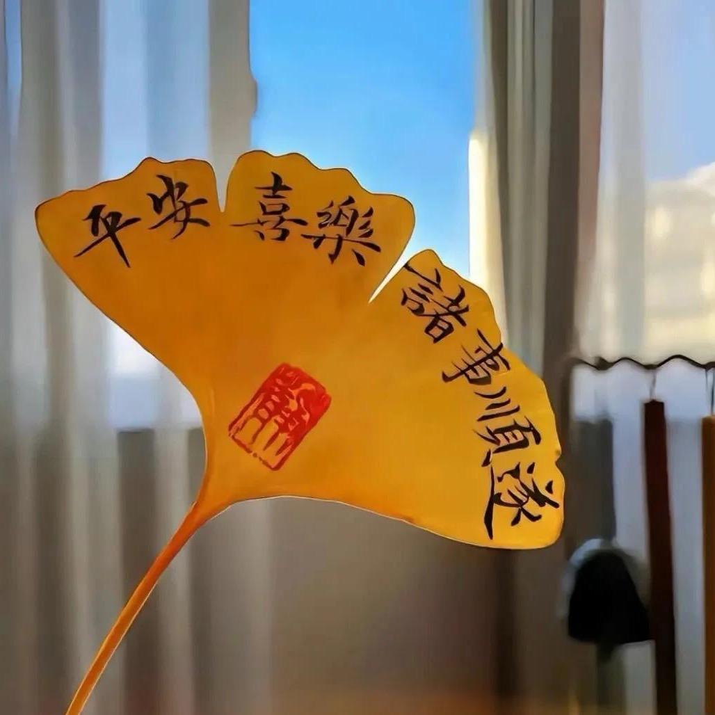向阳而生