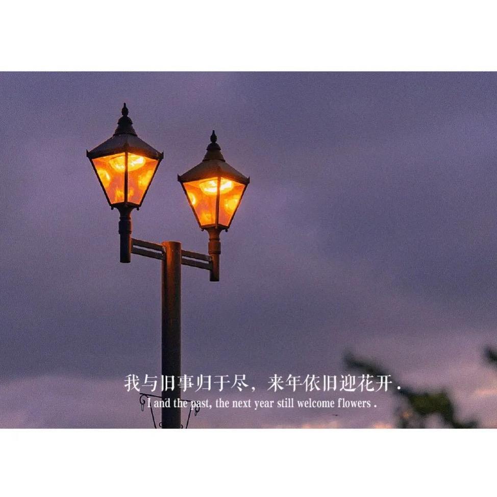 橙桔