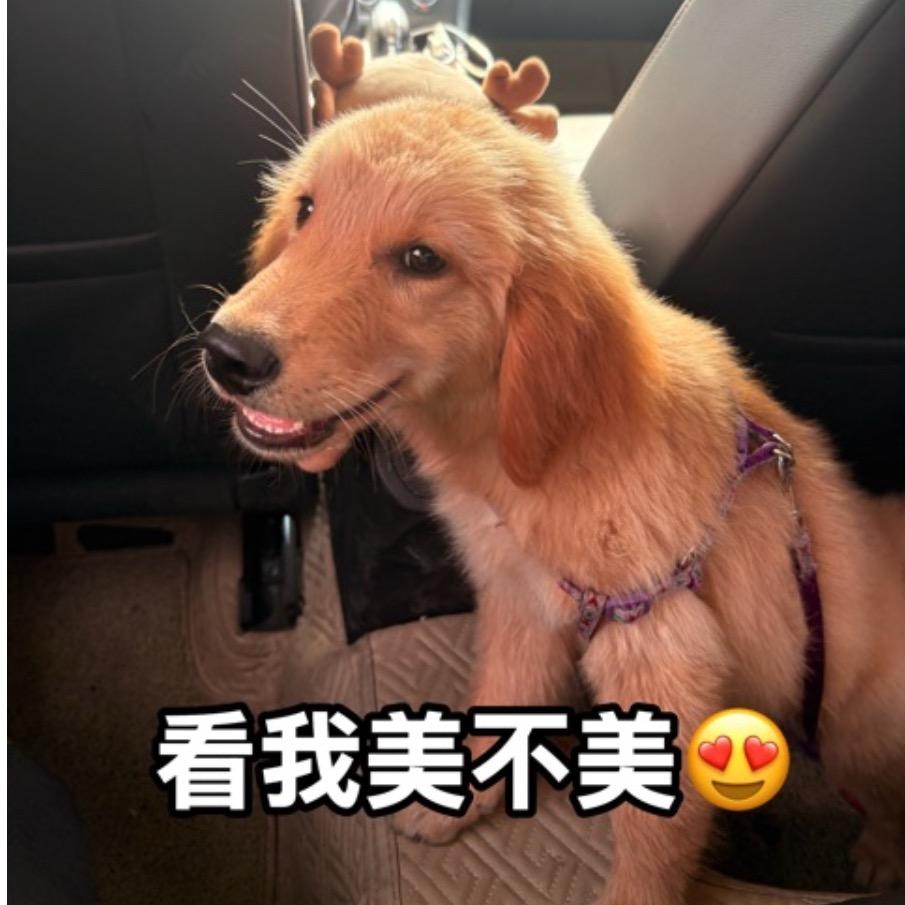 旺旺大李包