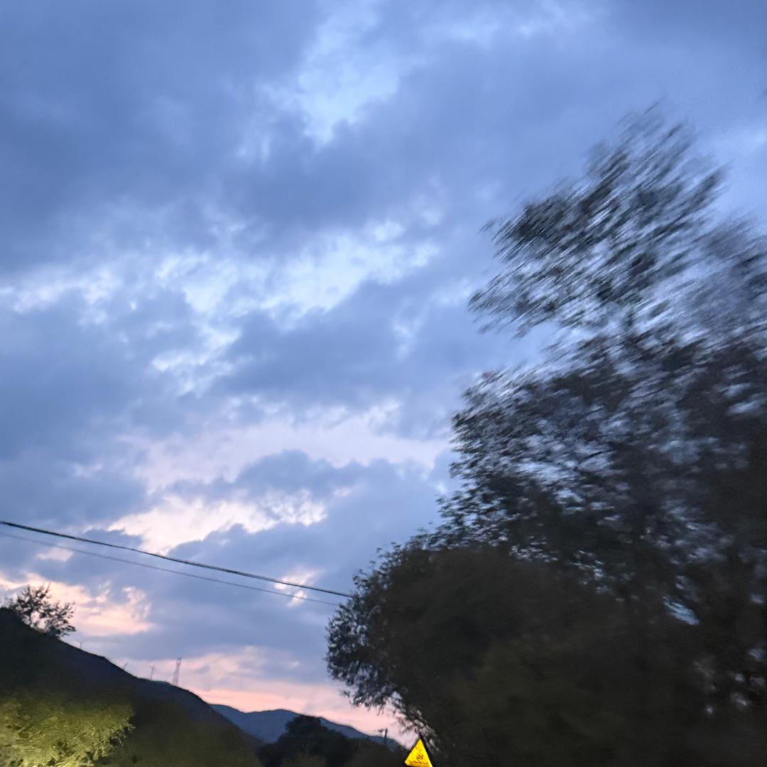 流浪猫的小日记📓