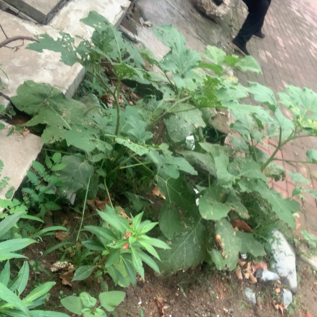两个人的事情