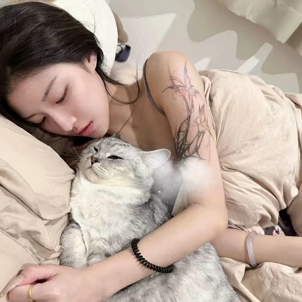 呆.