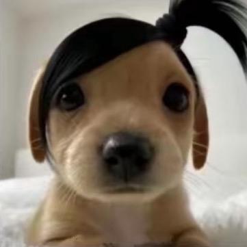 ℡じづ 空城 -、