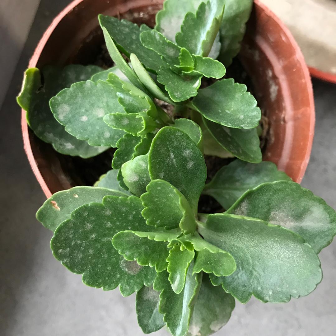 春雨🌧️
