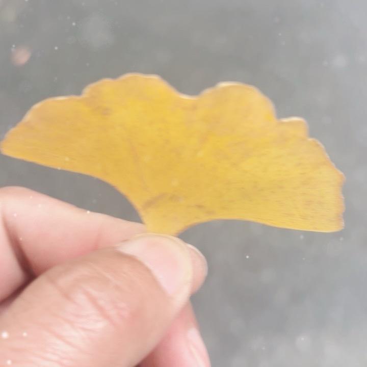 修改名字