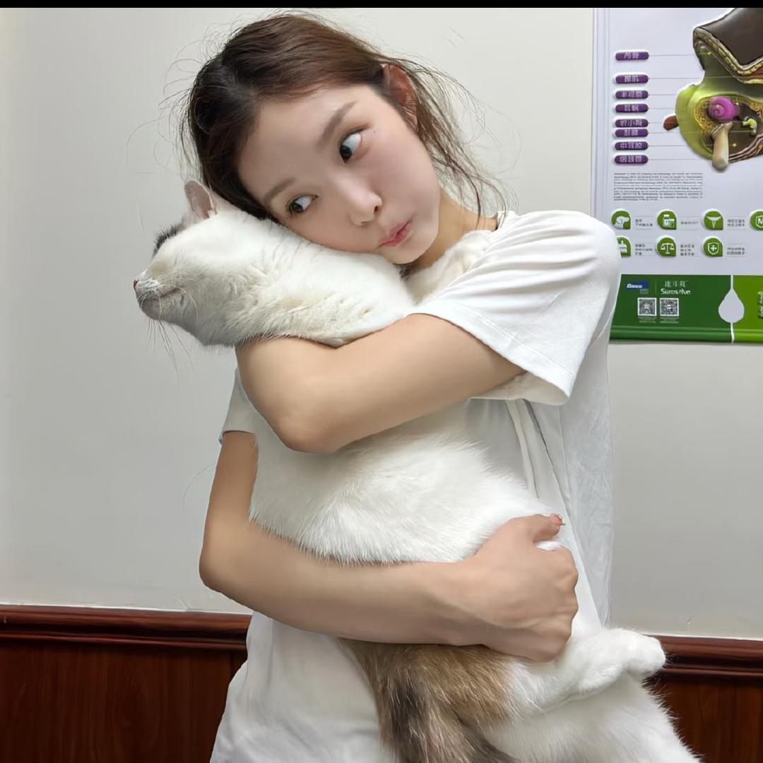 是酱紫嘛