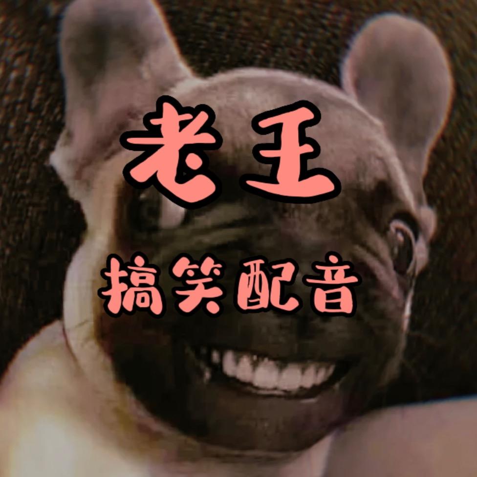 老王搞笑配音