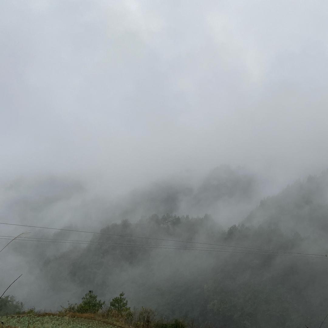 是啾啾还是秋秋吖？