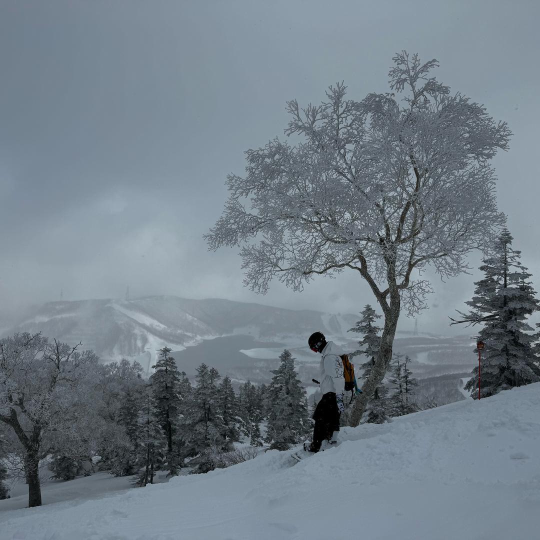 司命的瘦瘦烦恼