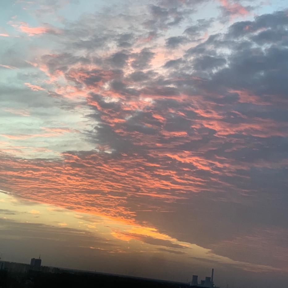 小🔥怪🦁物🐰