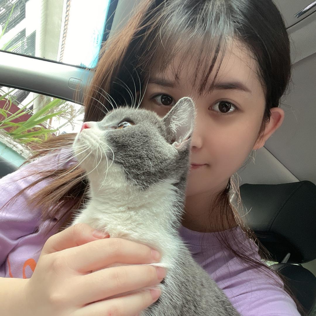 依依
