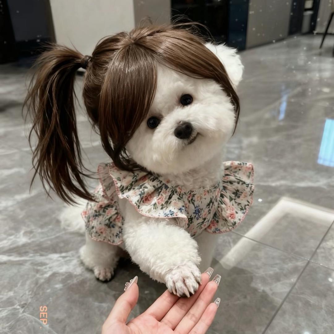 小饼.