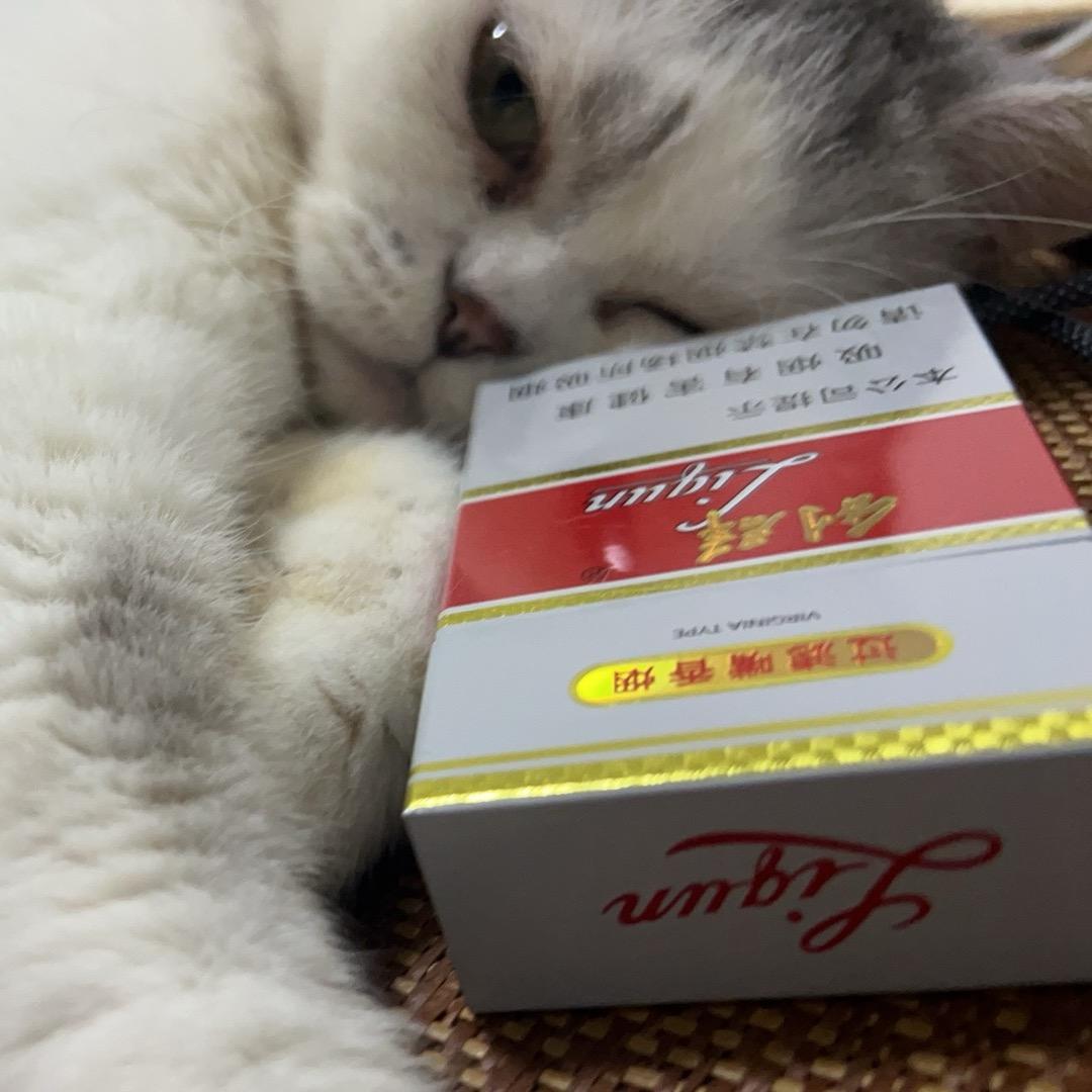 梧桐