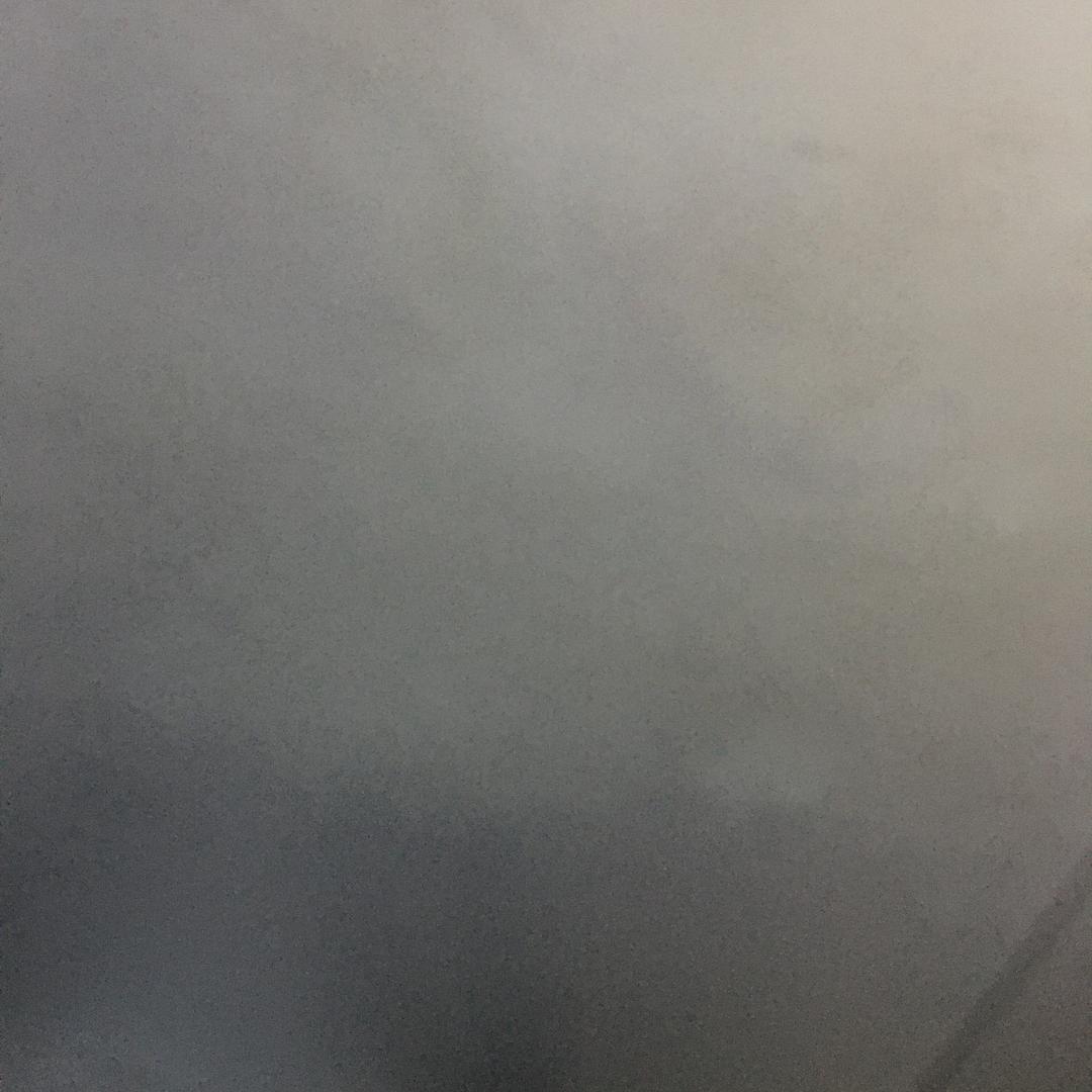 人中之凤