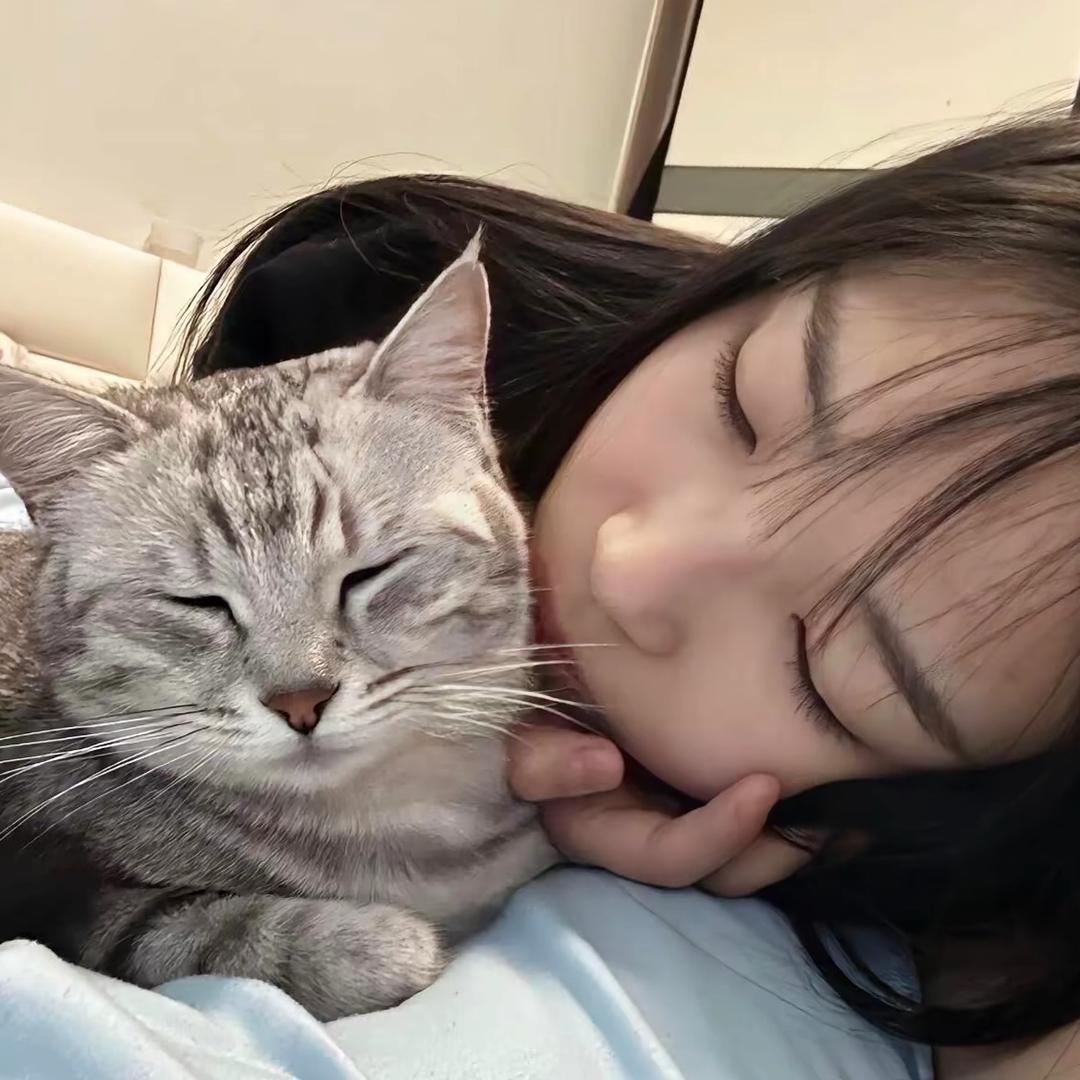 喵的