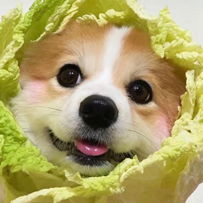 可乐鸡翅^_^