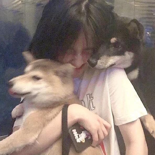 想你的鱼💓
