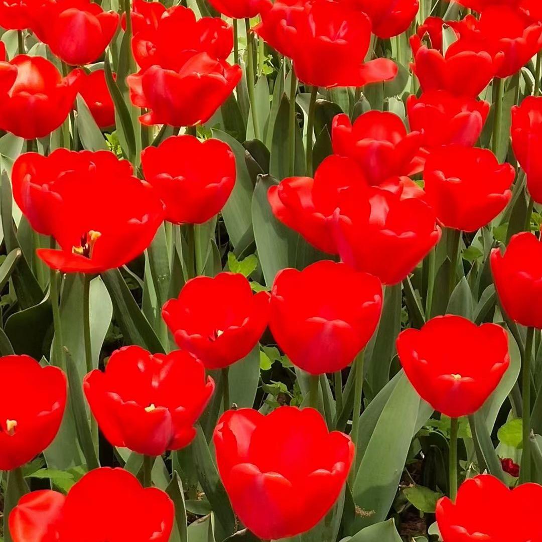 我会越来越好🌝👍🌹