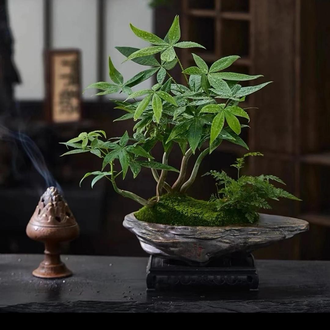 仙姐