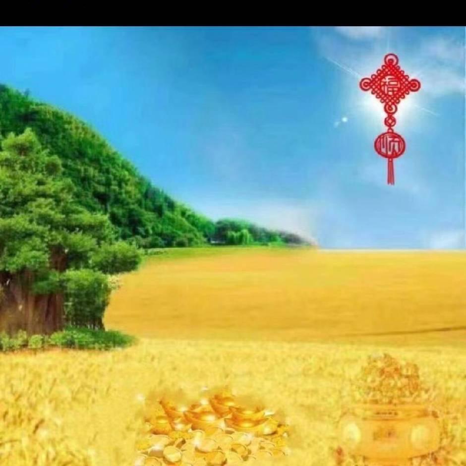 枫姐在日商贸