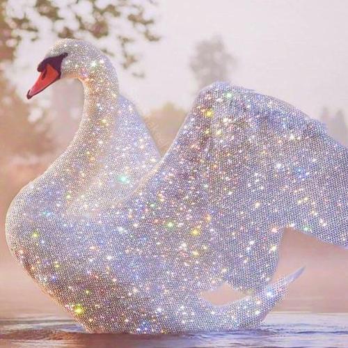 种花家🌺❤️玥来玥棒