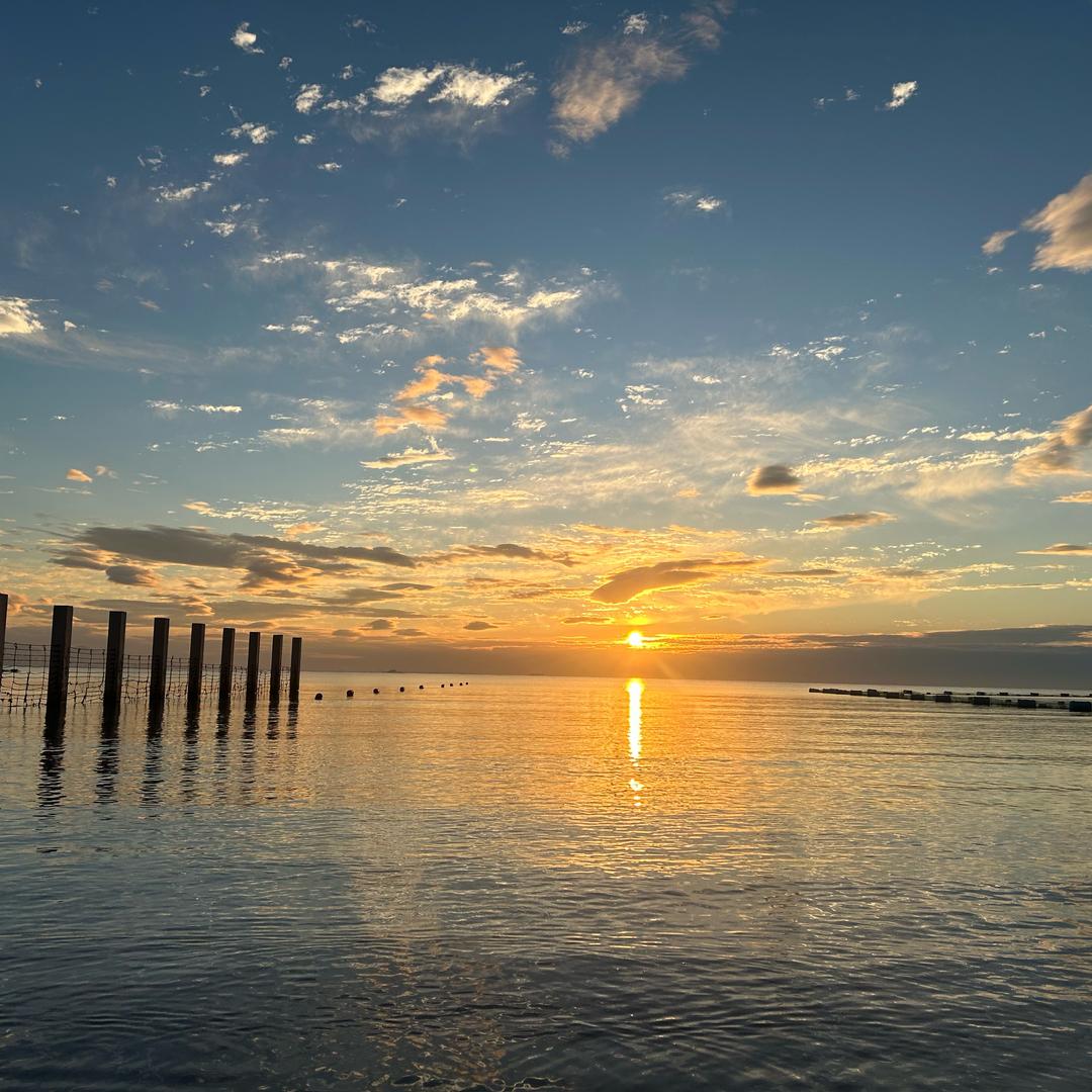 是颗甜栗子《干噎酸奶世家》