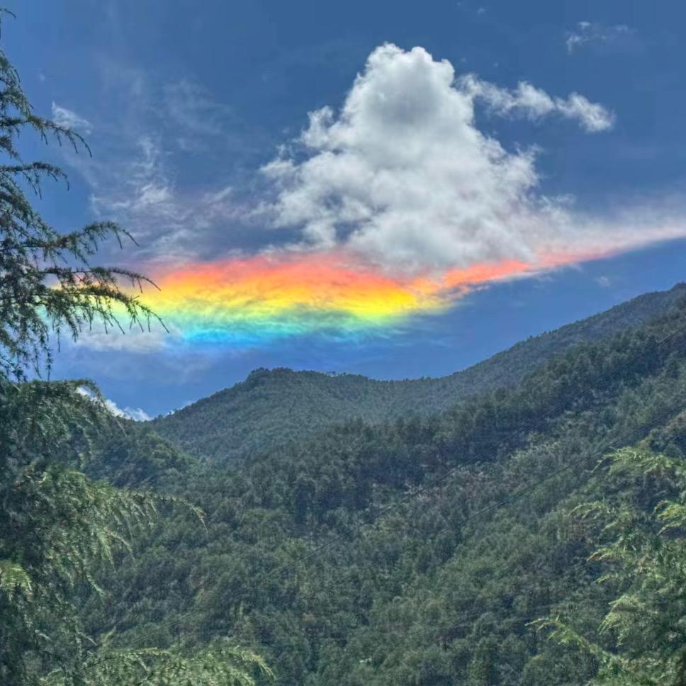 ￥~幸运🍀满满